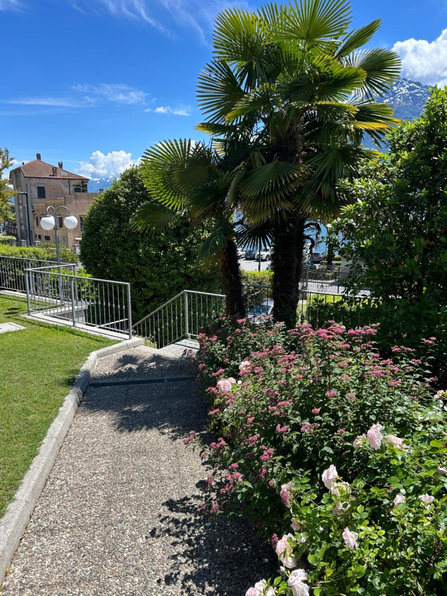Residence Il Bosso 多马索 外观 照片